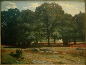 Chestnut Avenue at La Celle Saint-Cloud